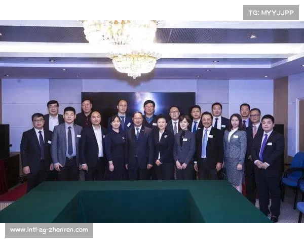 中国企业家在欧洲足球俱乐部投资风潮中的尼斯足球俱乐部角色解析 中国企业家在欧洲足球俱乐部投资风潮中的尼斯足球俱乐部角色解析